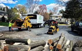 Best Utility Line Clearance  in Ogden, NC
