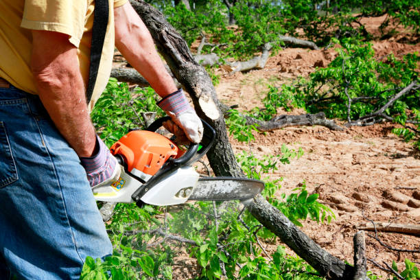 Best Weed Control  in Ogden, NC